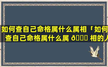 如何查自己命格属什么属相「如何查自己命格属什么属 🐞 相的人」